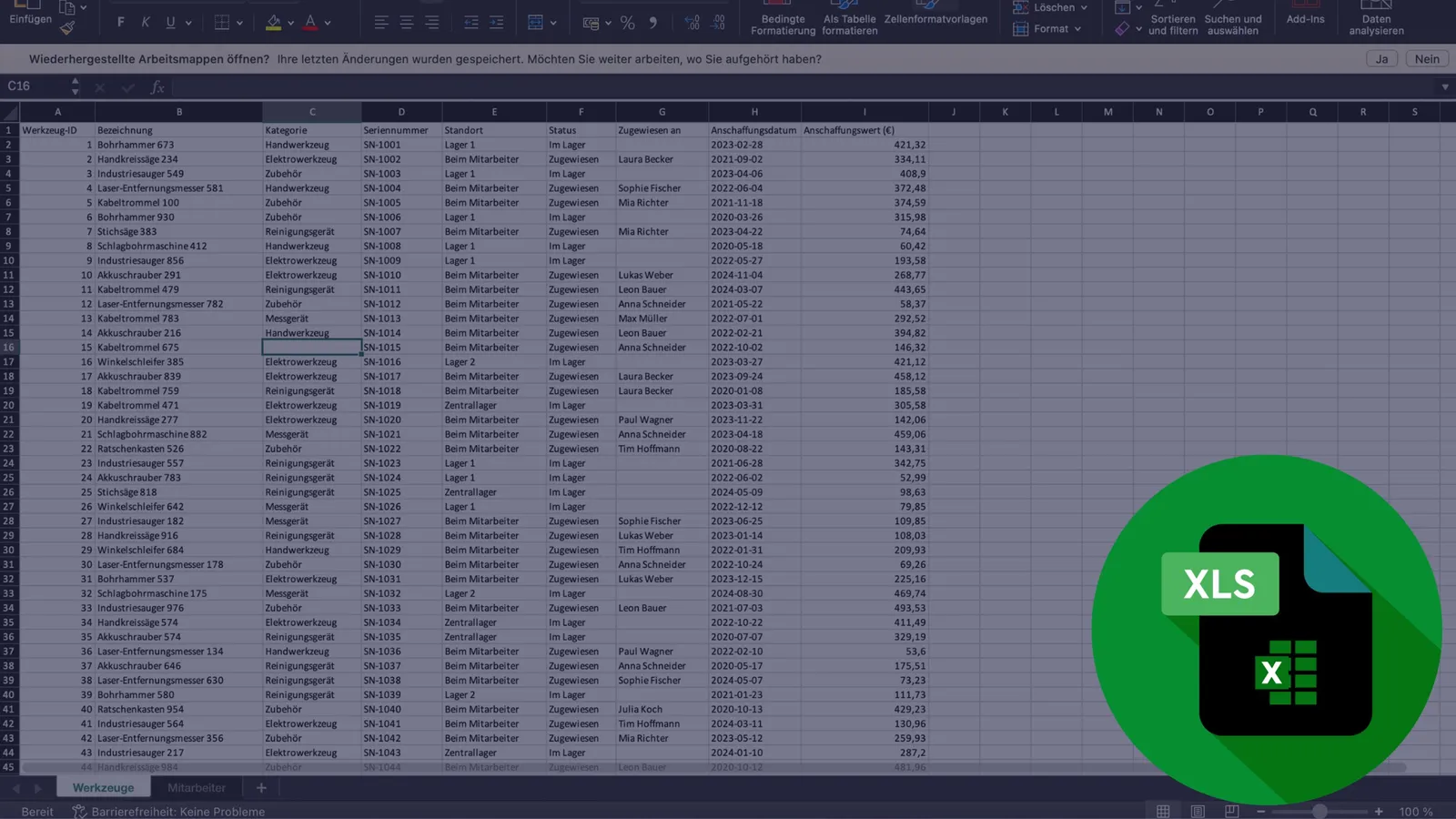 Werkzeugliste in einer Excel-Tabelle mit XLS-Dateisymbol